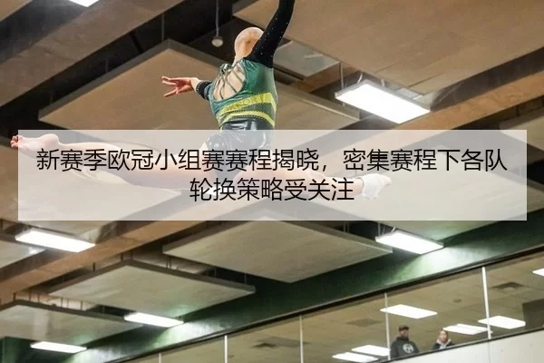 新赛季欧冠小组赛赛程揭晓，密集赛程下各队轮换策略受关注