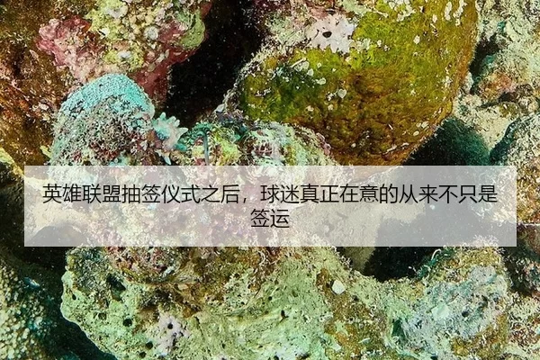 英雄联盟抽签仪式之后，球迷真正在意的从来不只是签运